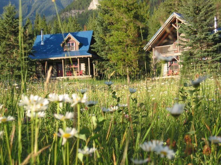 Nipika Mountain Resort Radium Hot Springs Exterior foto