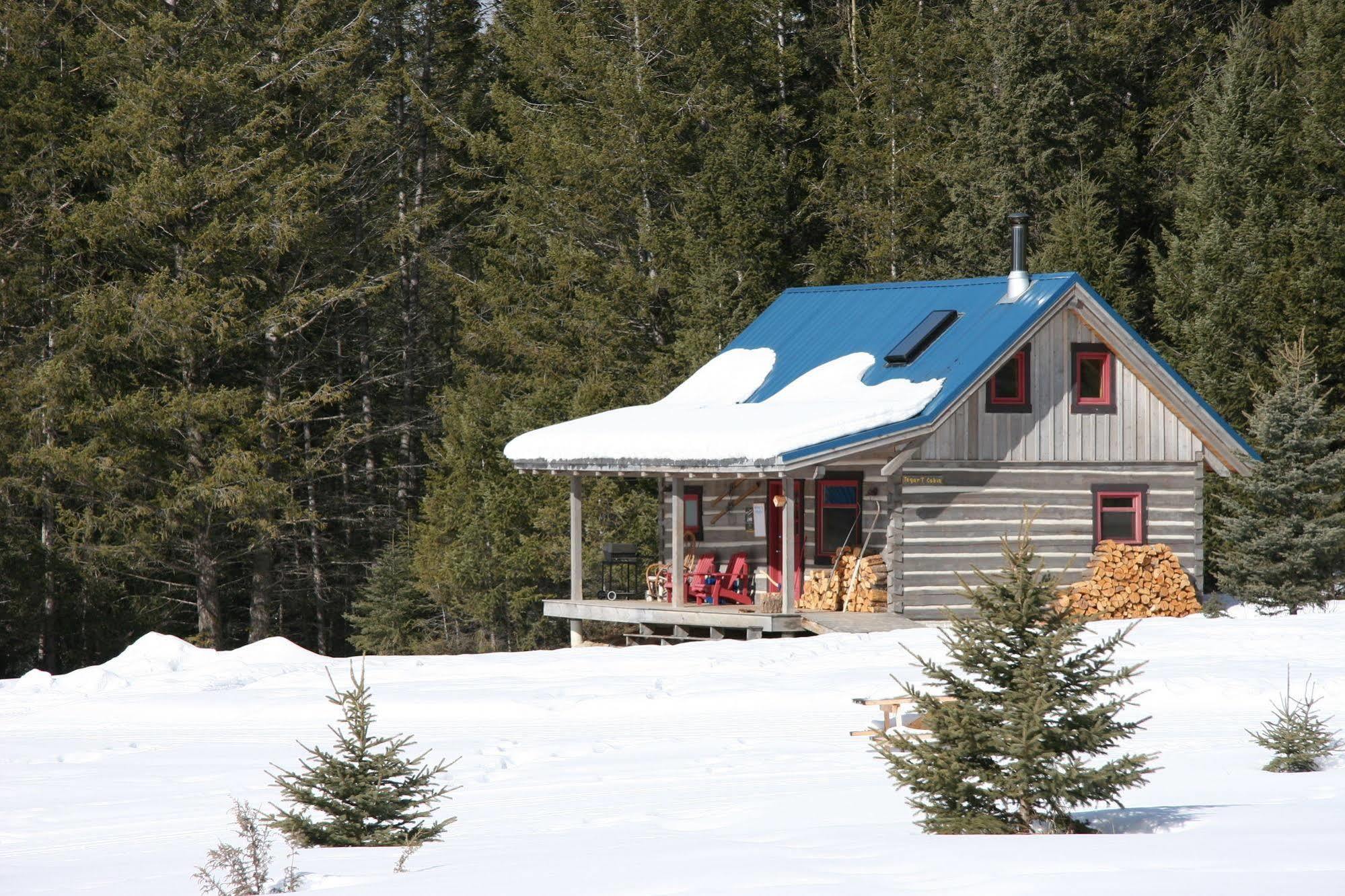 Nipika Mountain Resort Radium Hot Springs Exterior foto